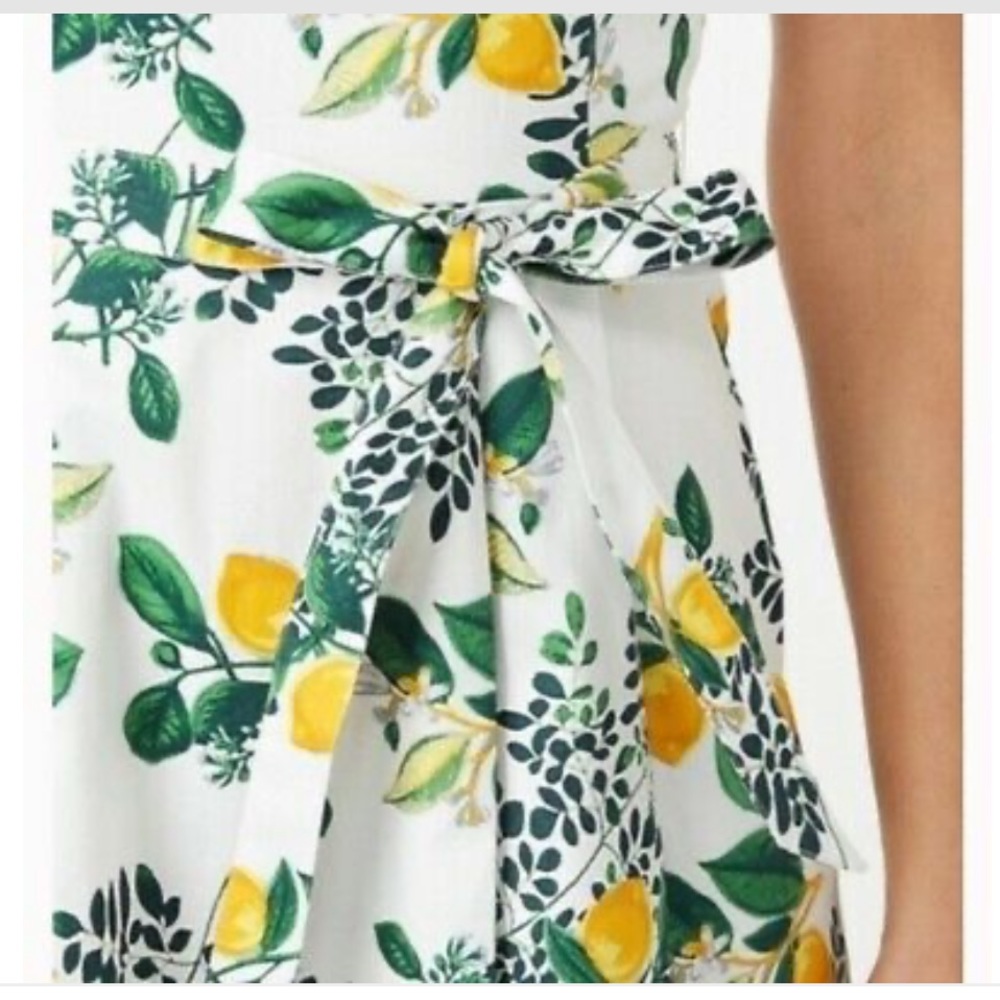 Roz Ali Dress Cotton Sleeveless Lemon Print Knee Length Fit Flare Midi